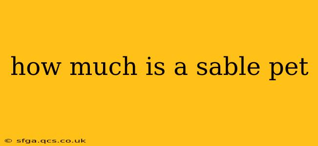 how much is a sable pet