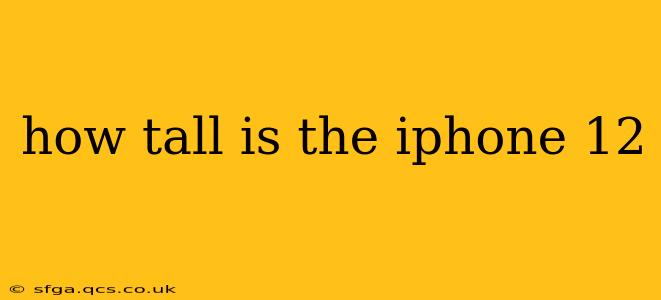 how tall is the iphone 12