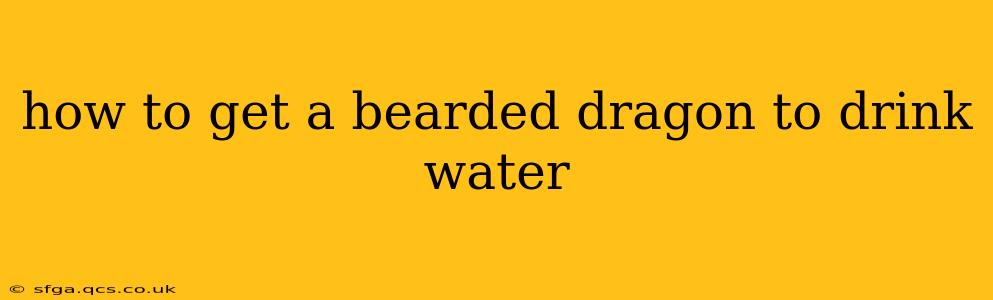how to get a bearded dragon to drink water