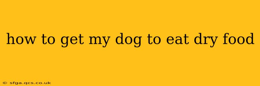 how to get my dog to eat dry food