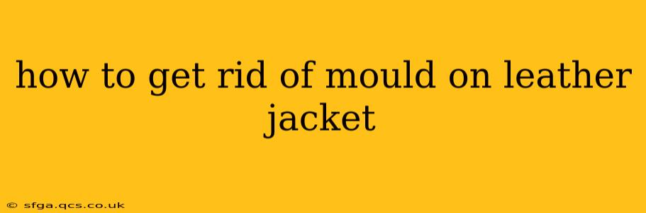 how to get rid of mould on leather jacket