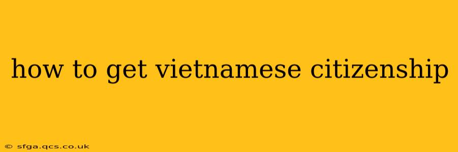 how to get vietnamese citizenship