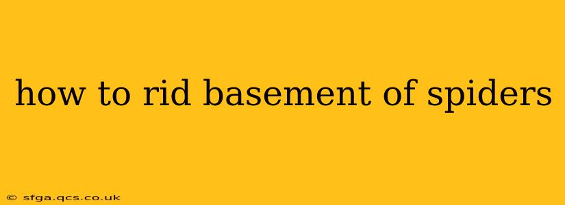how to rid basement of spiders