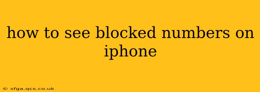 how to see blocked numbers on iphone