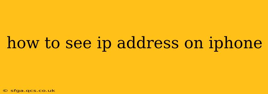 how to see ip address on iphone
