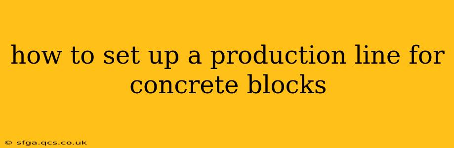 how to set up a production line for concrete blocks