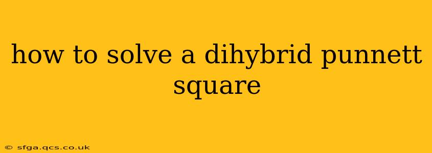 how to solve a dihybrid punnett square