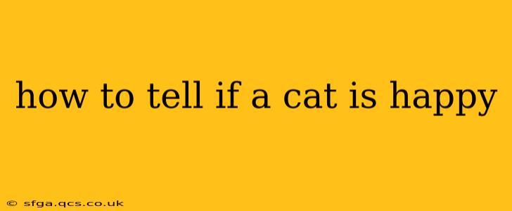 how to tell if a cat is happy