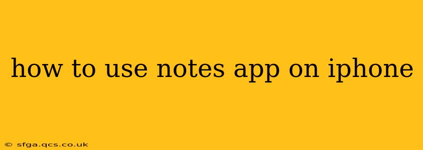how to use notes app on iphone