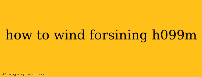 how to wind forsining h099m