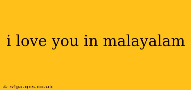 i love you in malayalam