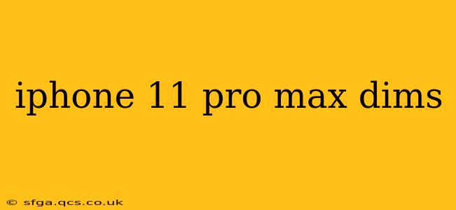 iphone 11 pro max dims