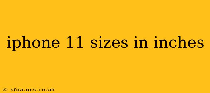 iphone 11 sizes in inches