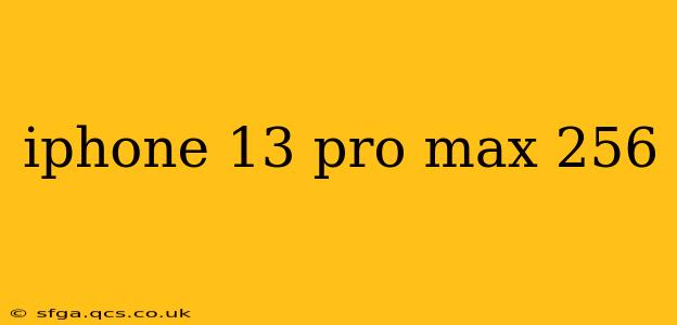 iphone 13 pro max 256