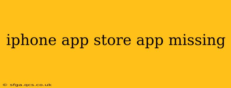 iphone app store app missing