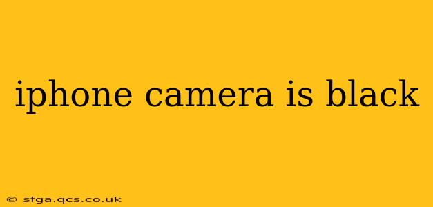 iphone camera is black