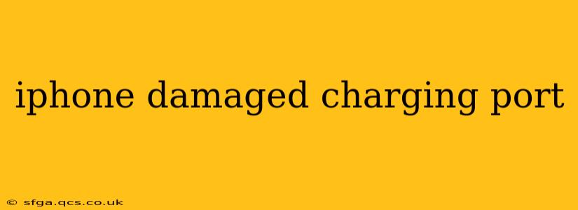 iphone damaged charging port