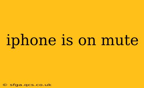iphone is on mute