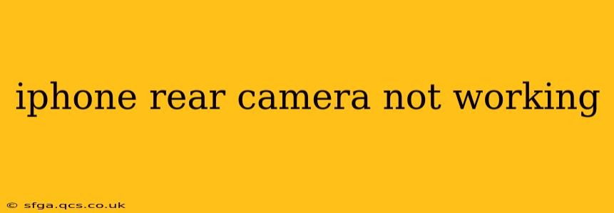 iphone rear camera not working