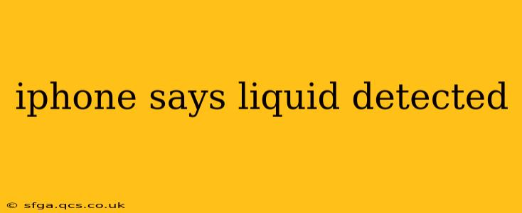 iphone says liquid detected