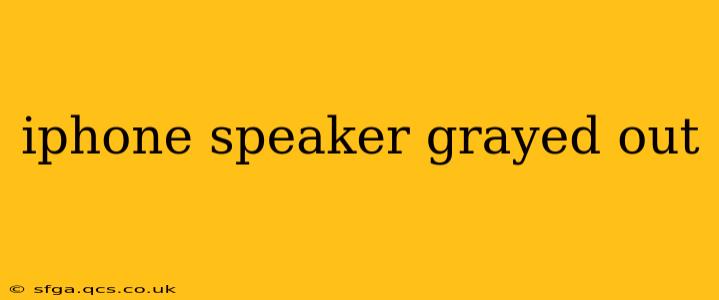 iphone speaker grayed out