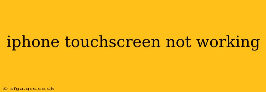 iphone touchscreen not working
