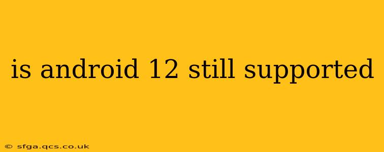 is android 12 still supported