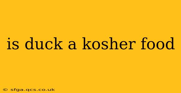 is duck a kosher food