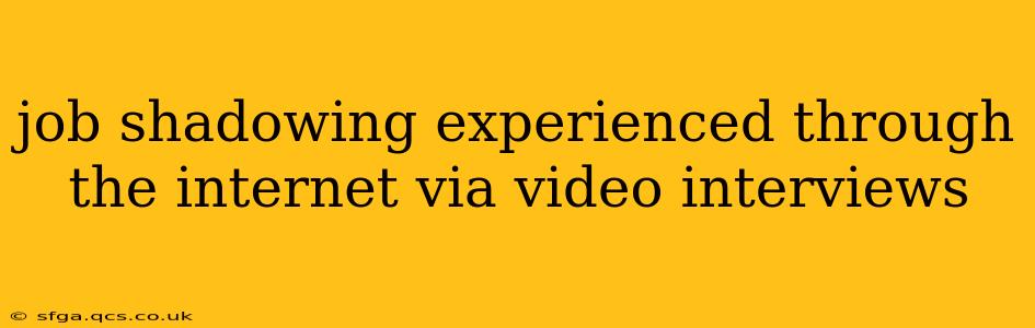job shadowing experienced through the internet via video interviews