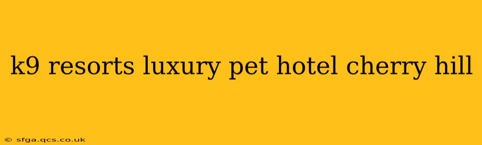 k9 resorts luxury pet hotel cherry hill