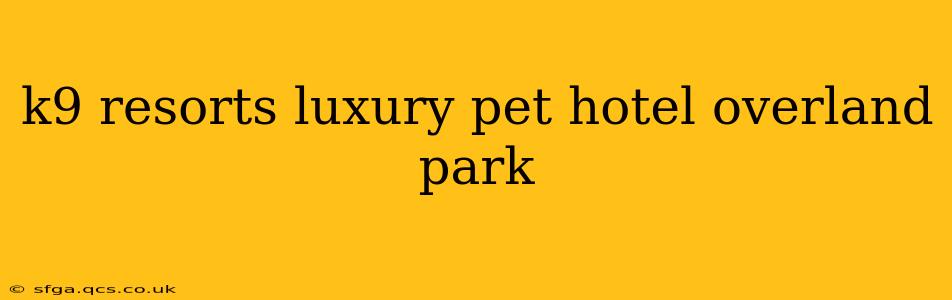 k9 resorts luxury pet hotel overland park