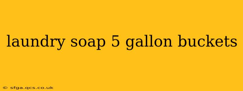 laundry soap 5 gallon buckets