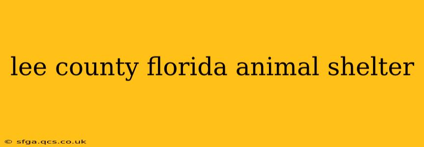 lee county florida animal shelter