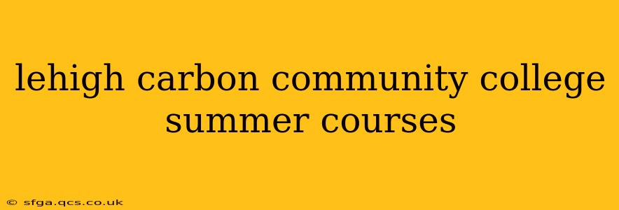 lehigh carbon community college summer courses