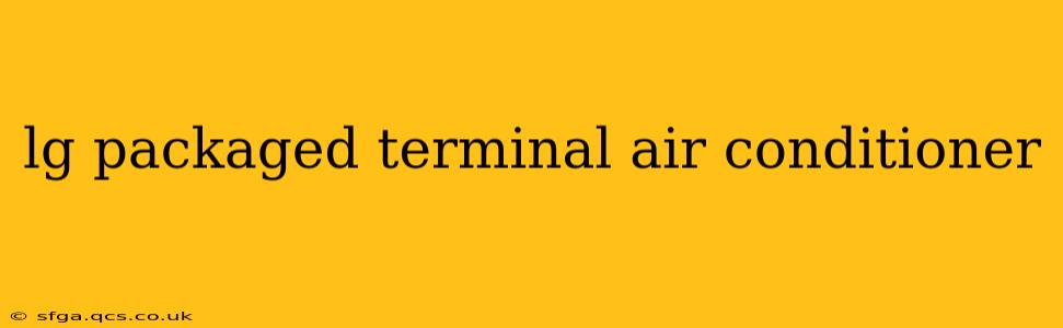 lg packaged terminal air conditioner