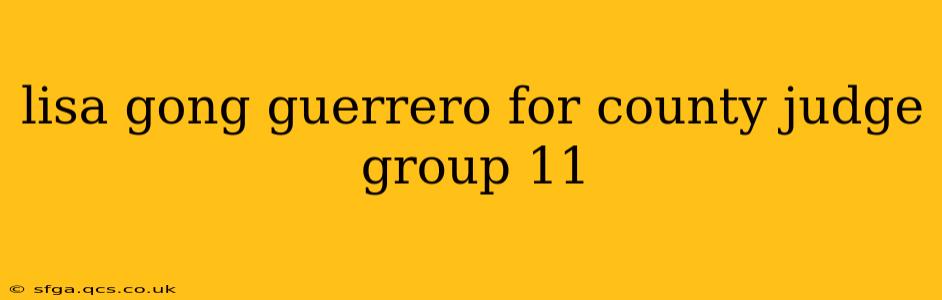 lisa gong guerrero for county judge group 11