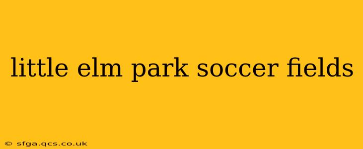 little elm park soccer fields