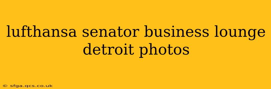 lufthansa senator business lounge detroit photos