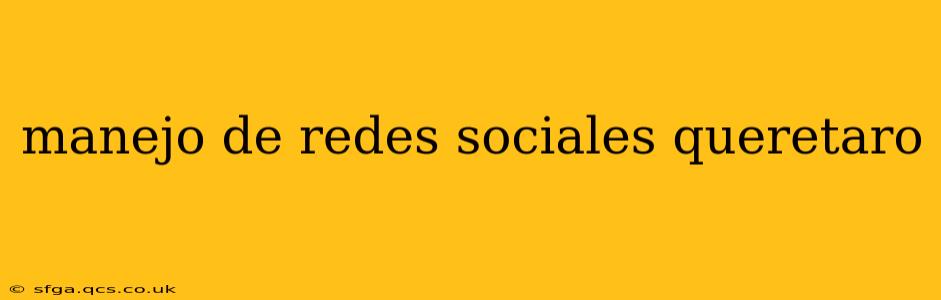 manejo de redes sociales queretaro