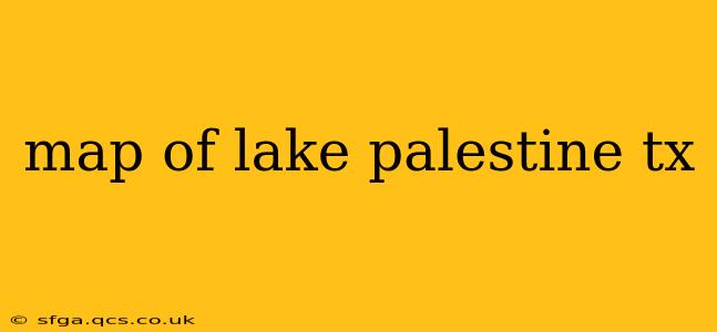 map of lake palestine tx