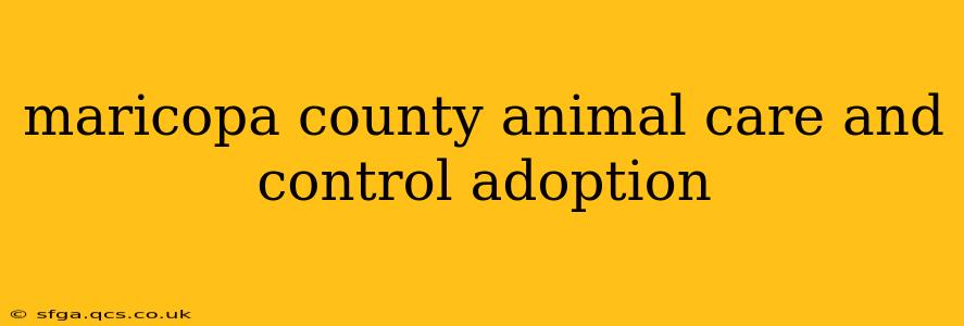 maricopa county animal care and control adoption