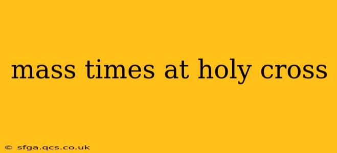 mass times at holy cross