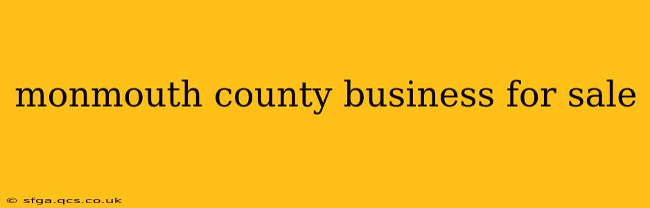 monmouth county business for sale
