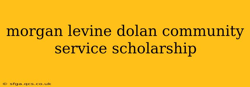 morgan levine dolan community service scholarship