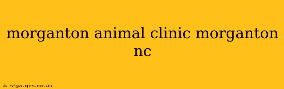 morganton animal clinic morganton nc