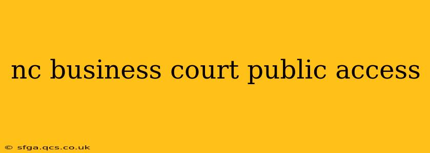 nc business court public access