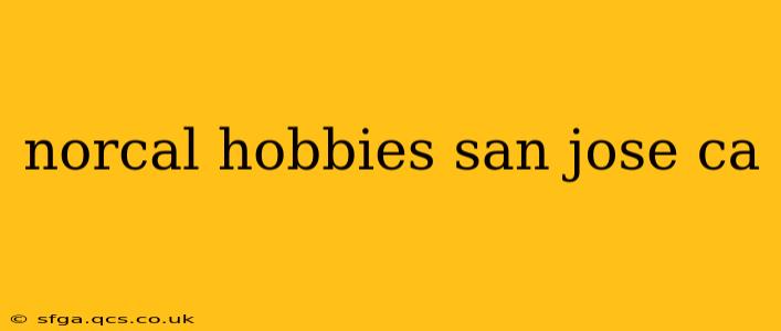 norcal hobbies san jose ca