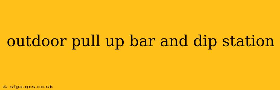 outdoor pull up bar and dip station