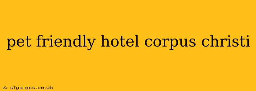 pet friendly hotel corpus christi