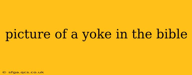 picture of a yoke in the bible